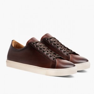 Men's Thursday Boots Premier Low Top Sneakers Brown | UAE357216