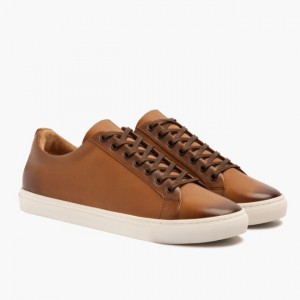 Men's Thursday Boots Premier Low Top Sneakers Brown | UAE357219