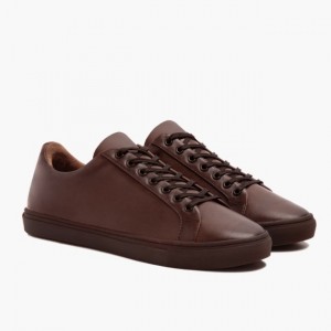 Men's Thursday Boots Premier Low Top Sneakers Brown | UAE357220