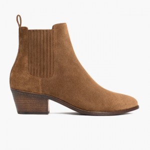 Women's Thursday Boots Dreamer Chelsea Boots Brown | UAE356923