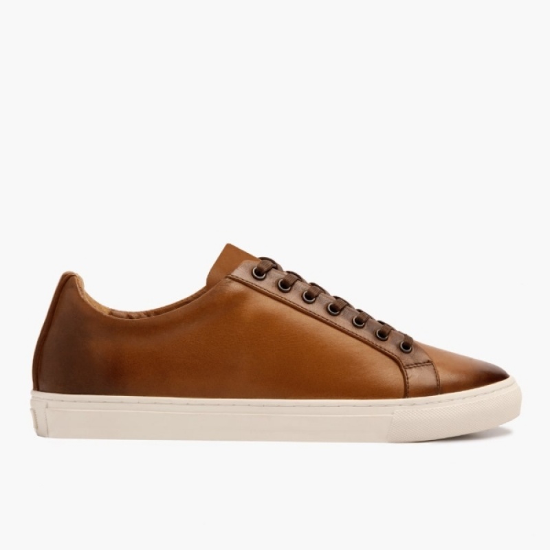 Men's Thursday Boots Premier Low Top Sneakers Brown | UAE357219