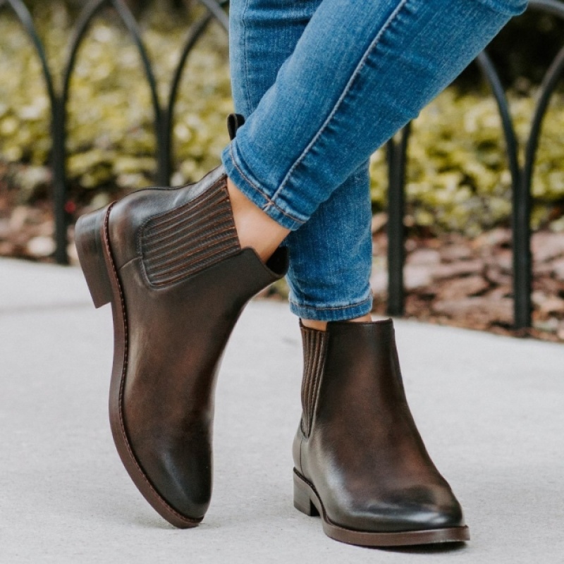 Women's Thursday Boots Dreamer Chelsea Boots Brown | UAE356926