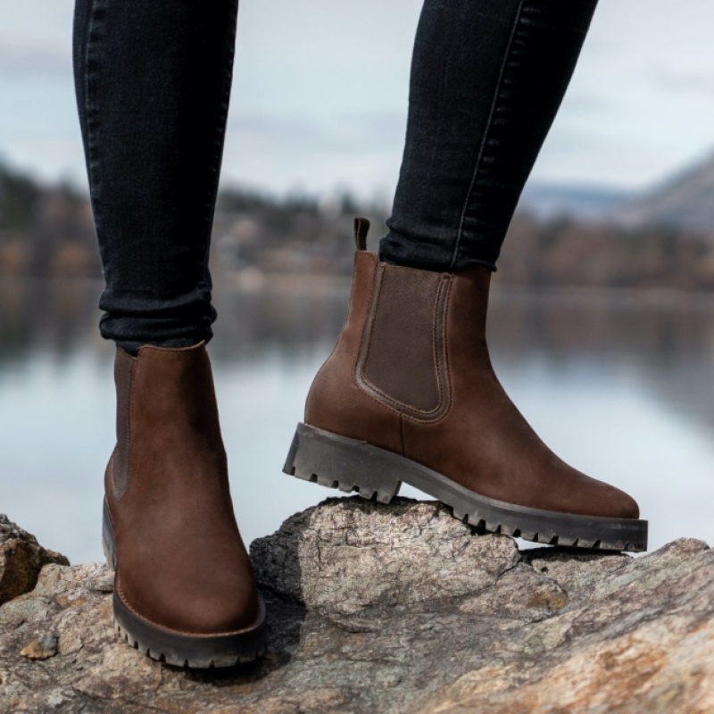 Women's Thursday Boots Legend Chelsea Boots Brown | UAE356901